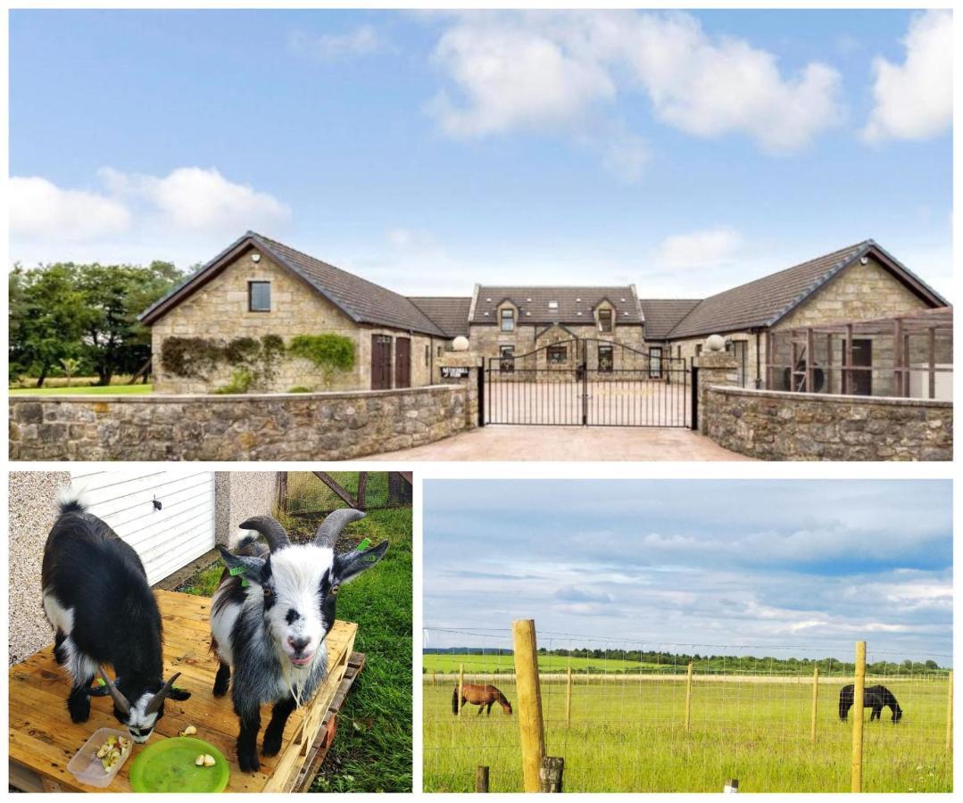 Cottage With Panoramic Views Kirk of Shotts エクステリア 写真